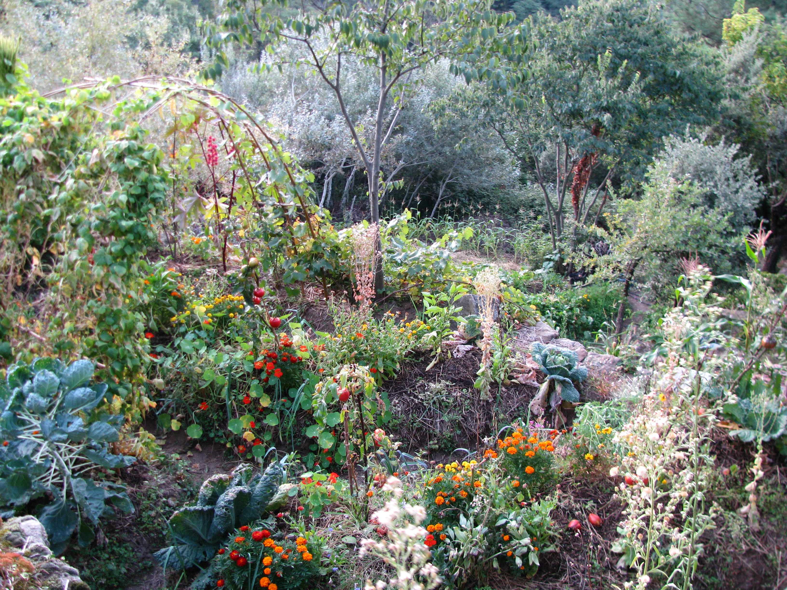 Photo de jardin 15